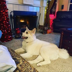 Meet your Posher, Ann